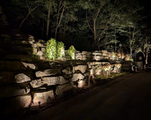 PXL_20251004_003651173.NIGHT